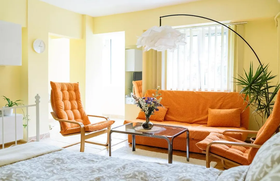 Herastrau Arancia Studio - Business District-1